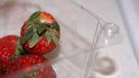 Strawberries - yummy!