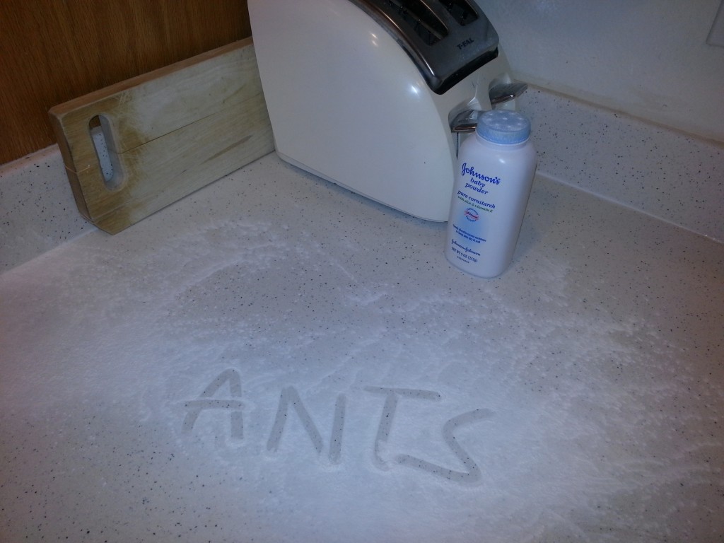ANTS ANTS and baby powder