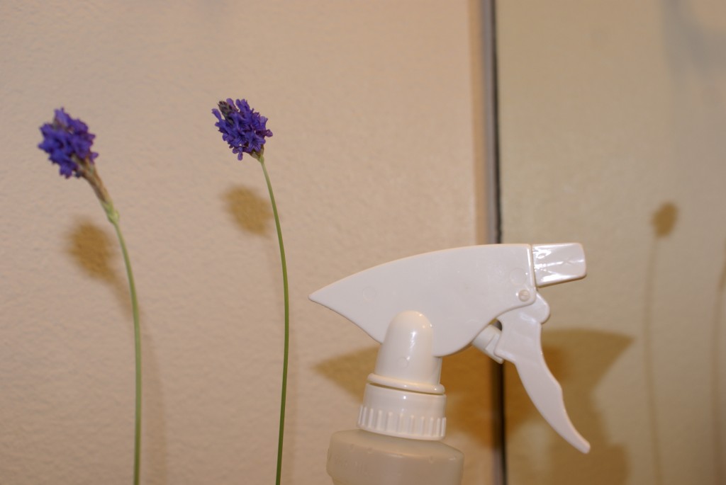 Alcohol Vinegar Tea Tree & Lavender Spray