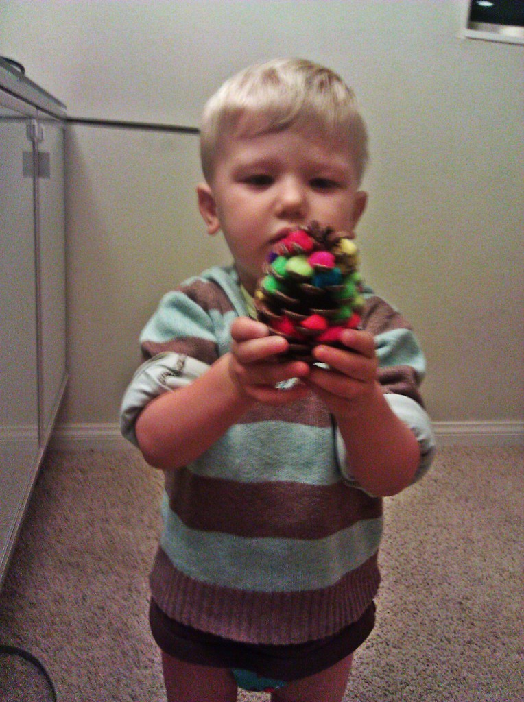 Pom Pom Pinecone Arlo proudly displays his original pom pom pinecone craft.