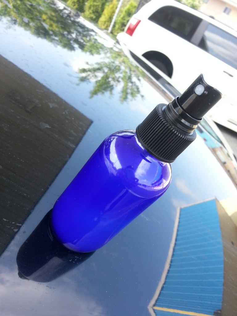 Homemade essential oil bug spray.