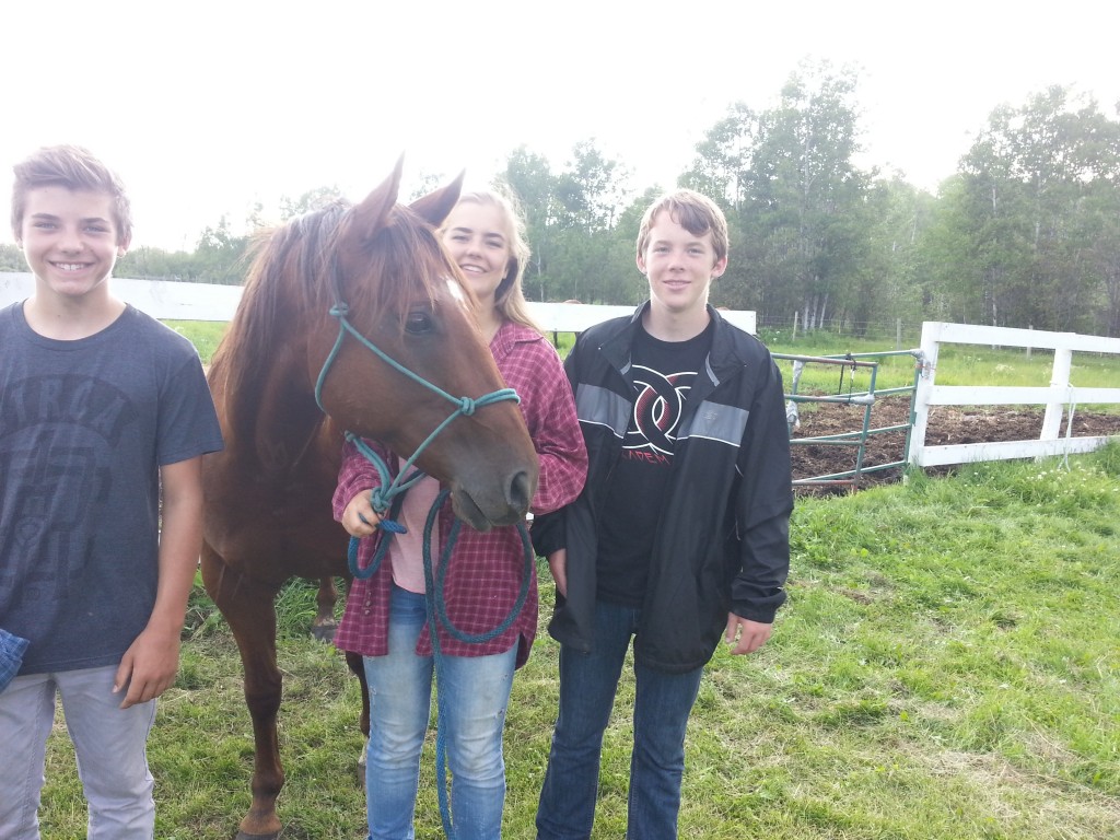 Barrel horse riding (very slowly).