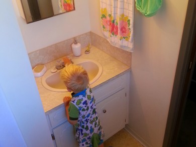 ensuite-arlo