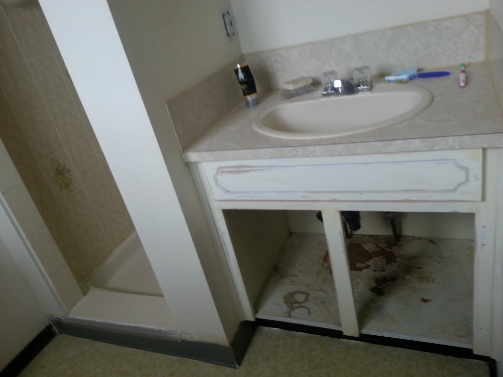 BEFORE: I'm supposed to put my stuff in there? (Also, what is up with that function shower threshold?)