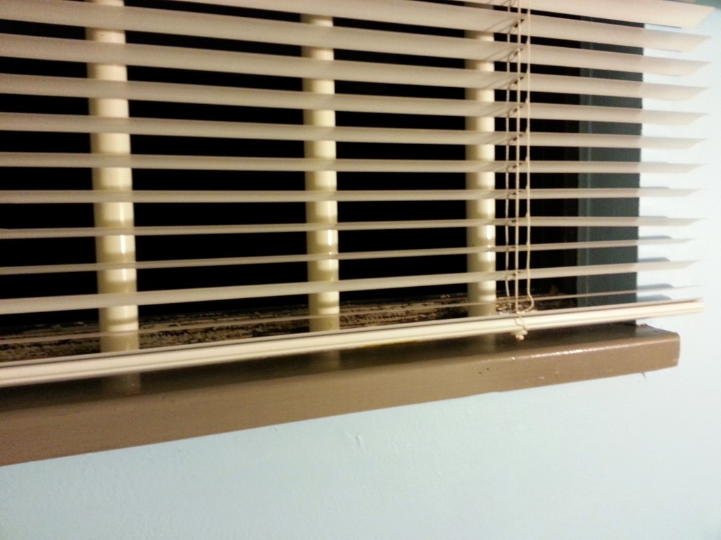 Bars on the window for safety!