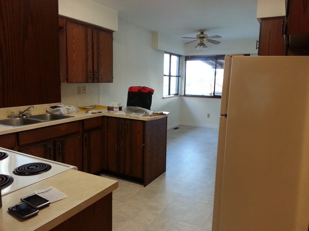 BEFORE: Dark and dirty (so, so dirty) cabinets with carved trim and nasty brass handles.